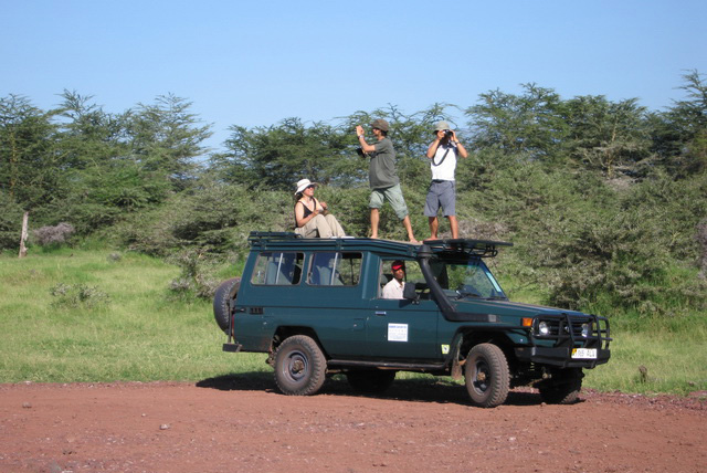 Safari photographers
