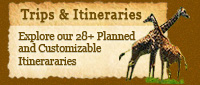 Trips & Itineraries